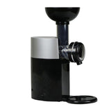 Big Boss Ice Cream Swirlio Frozen Fruit machine